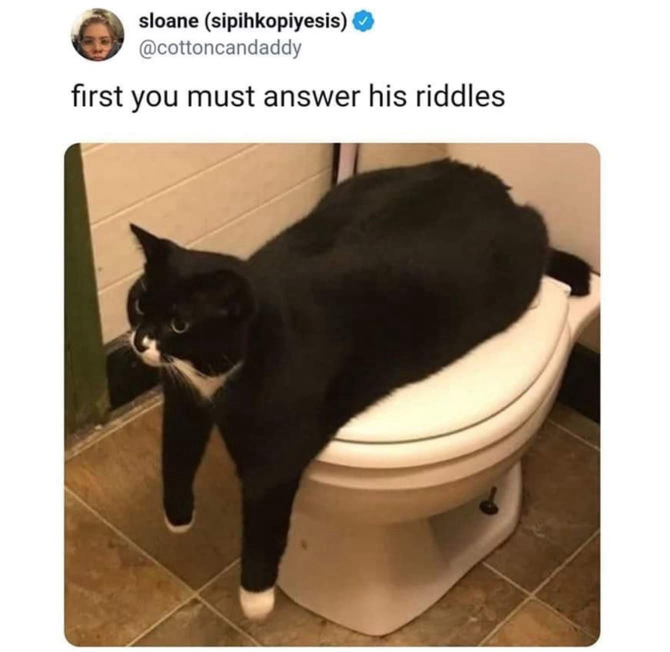 1752391106306.jpeg