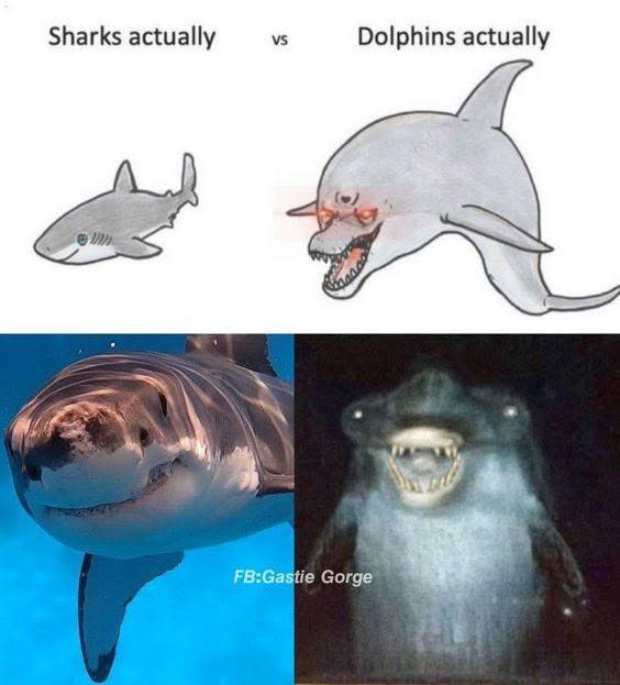 1752504060127.jpeg