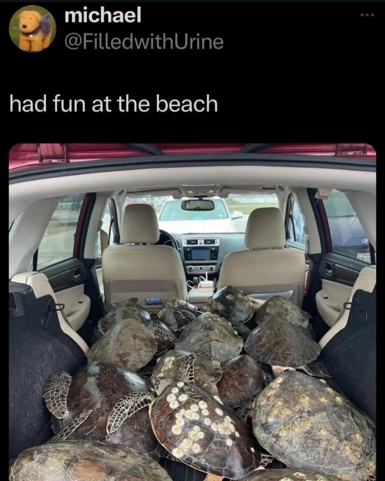 1752572036786.jpeg