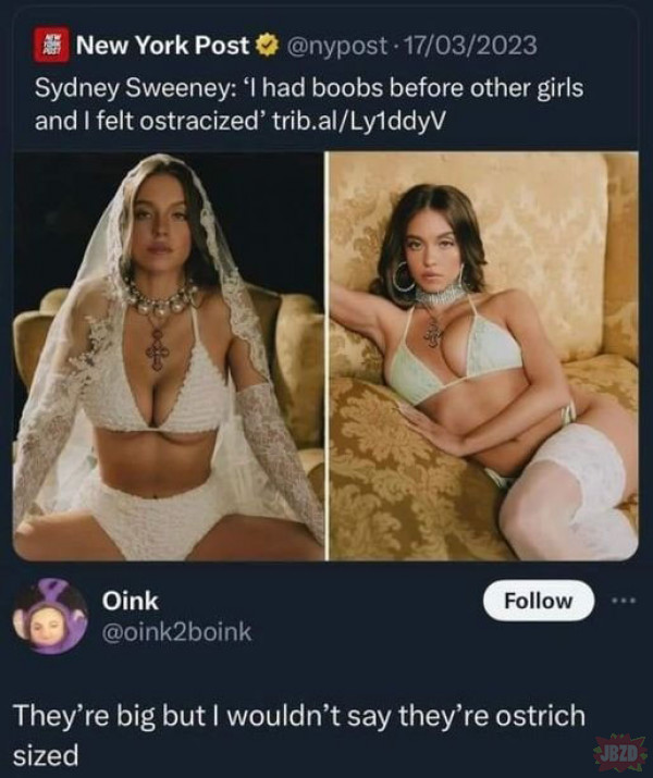 1752766767152.jpeg