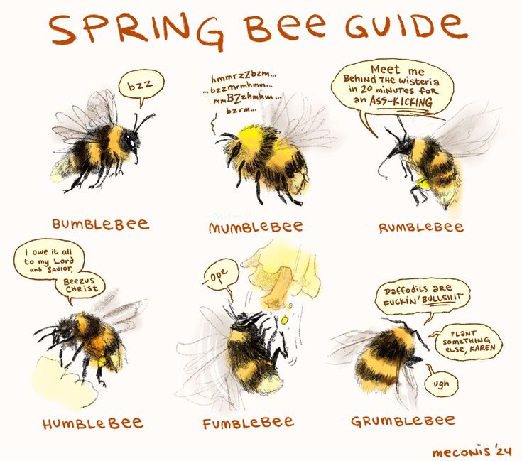 1752787073773.jpeg