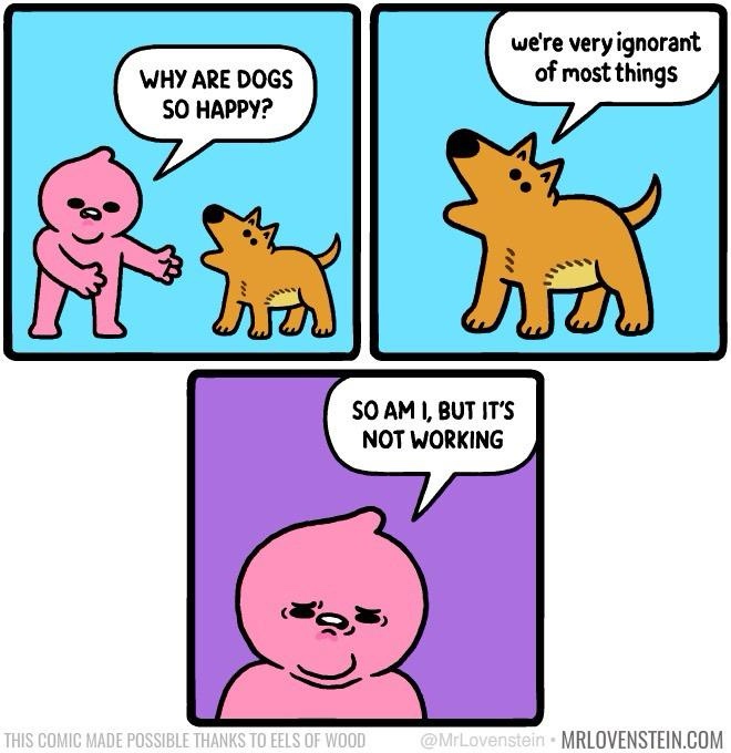 1752933827409.jpeg