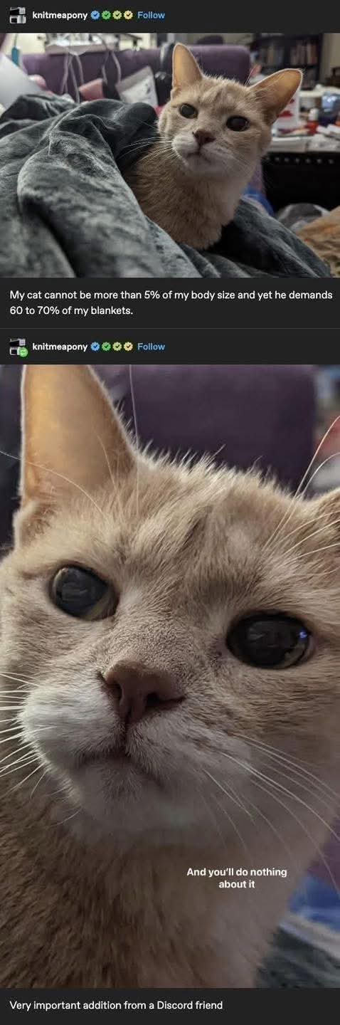 1753014944335.jpeg