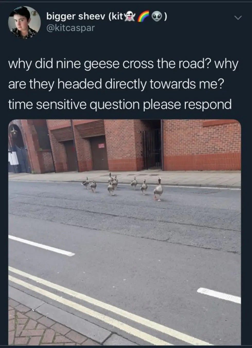 1753026011974.jpeg