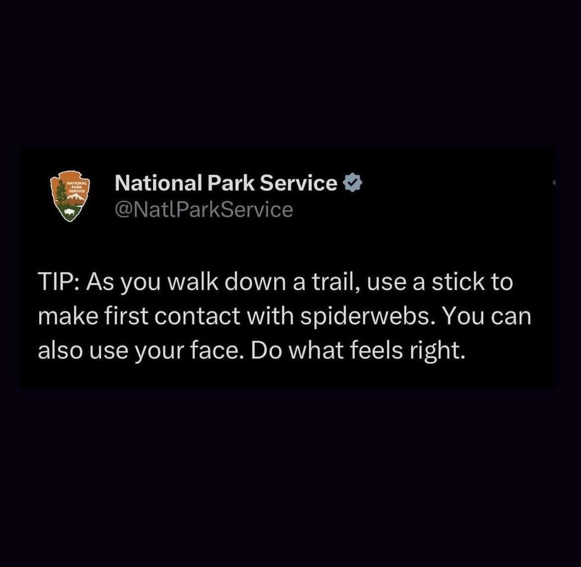 1753086644614.jpeg