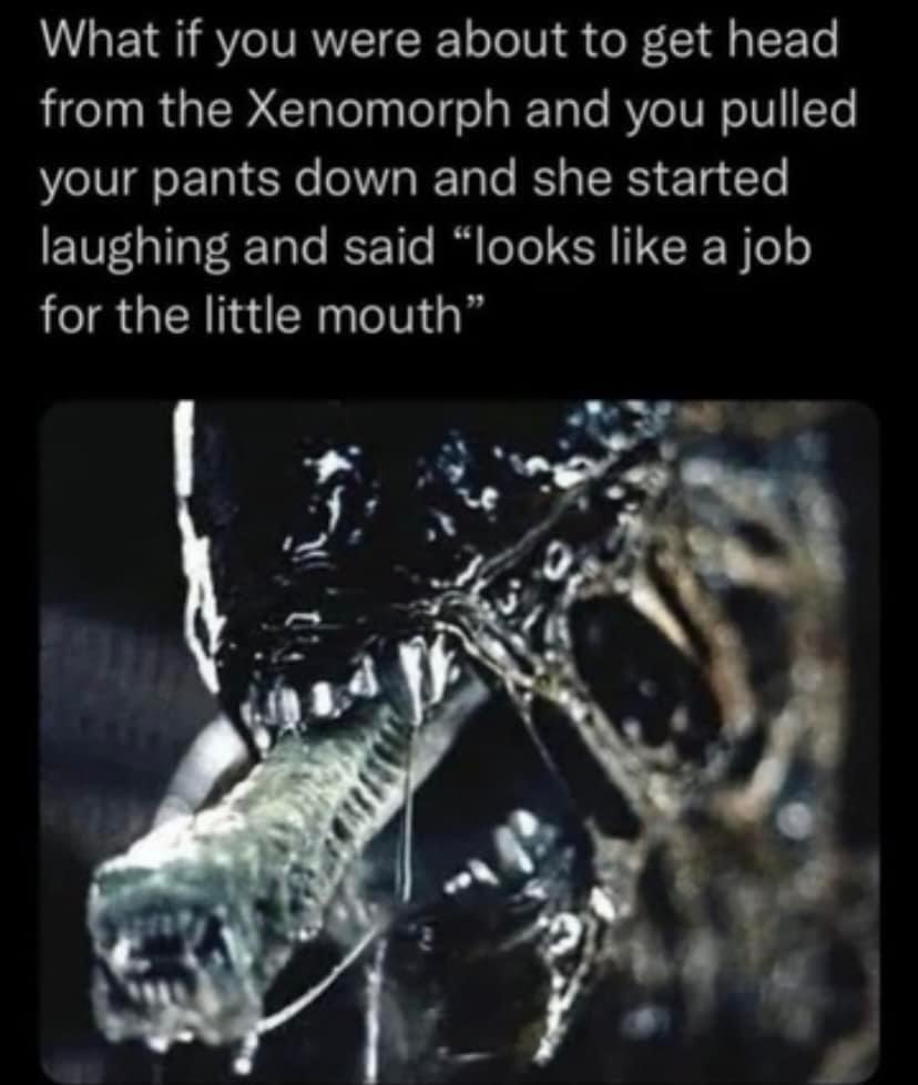1753165819677.jpeg