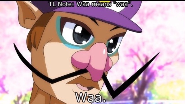 1753185632676.jpeg