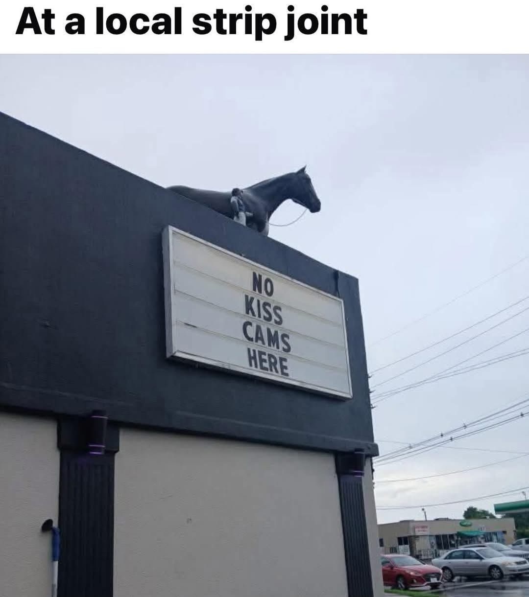 1753190823732.jpeg