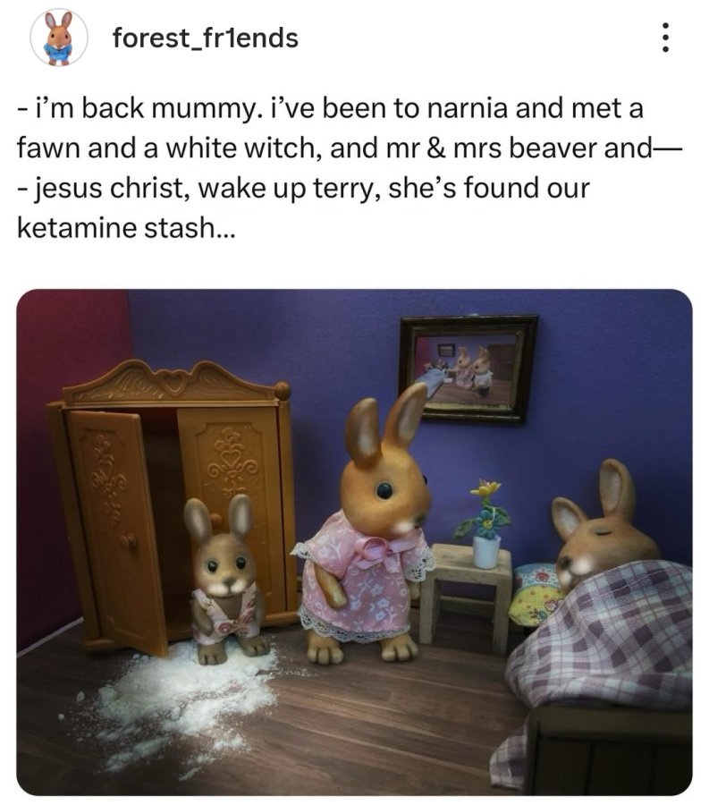 1753254838438.jpeg