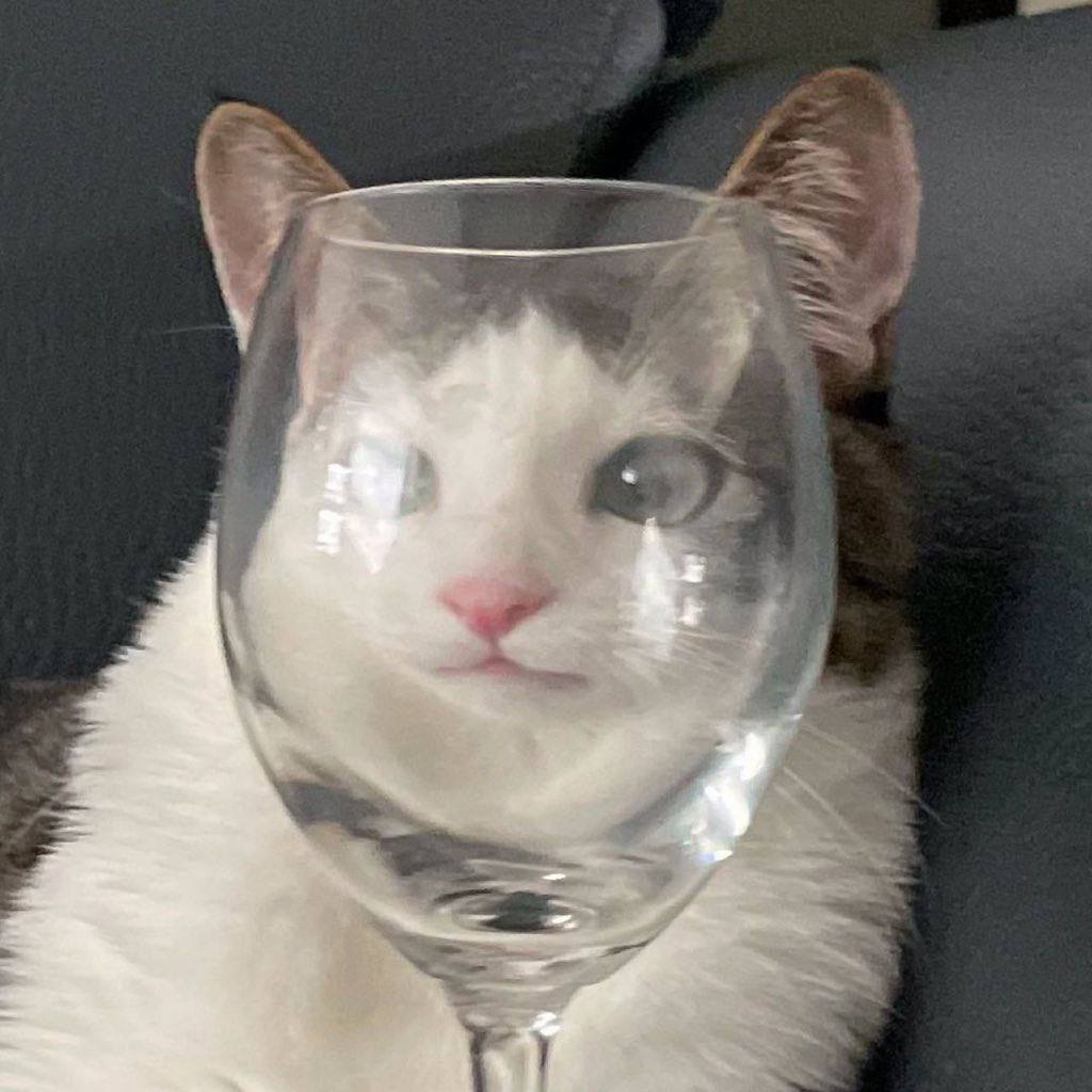 1753388085330.png