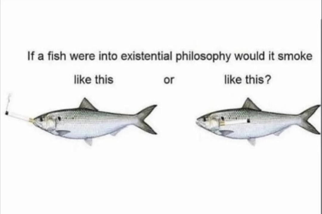 1753569484167.png