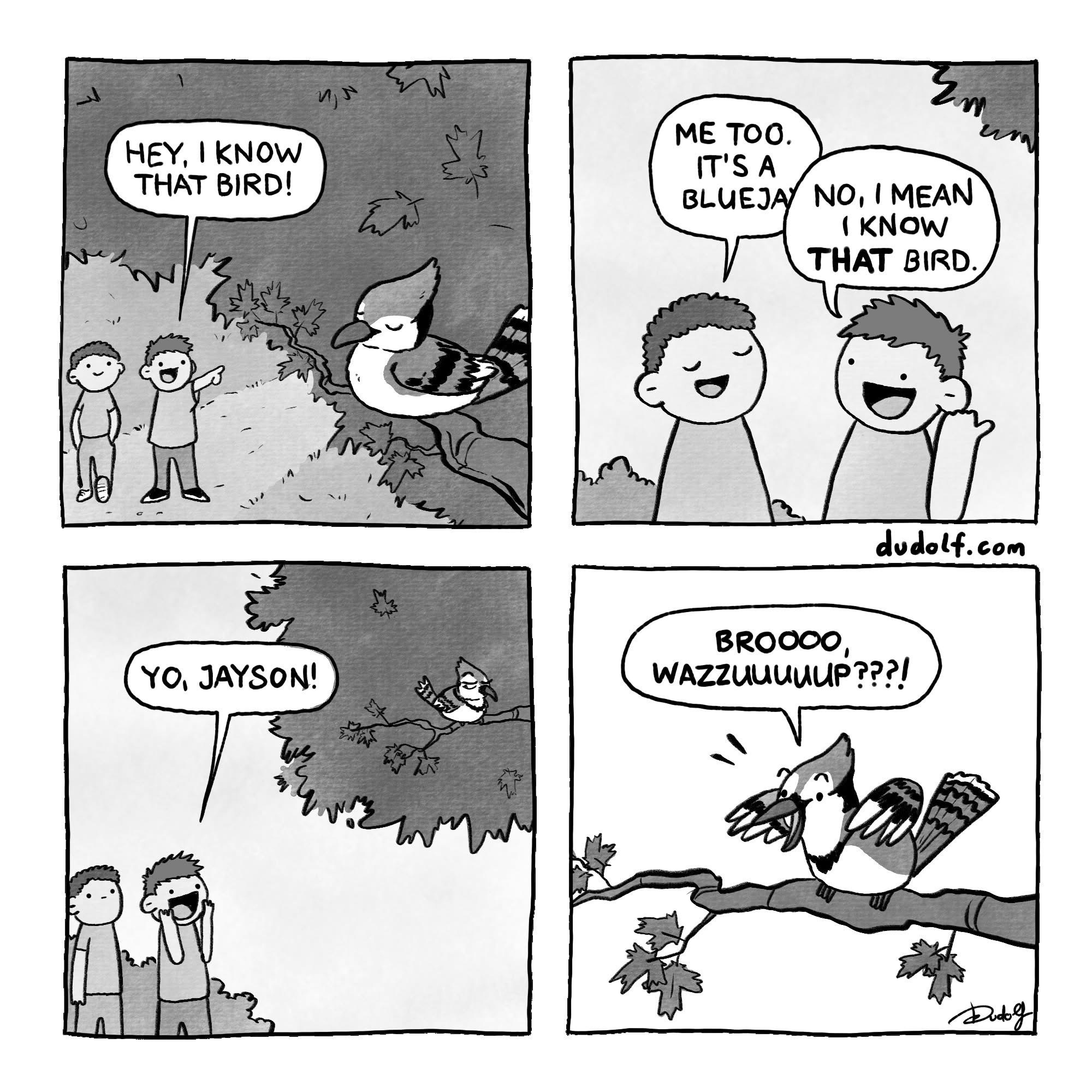 1753576390692.jpeg
