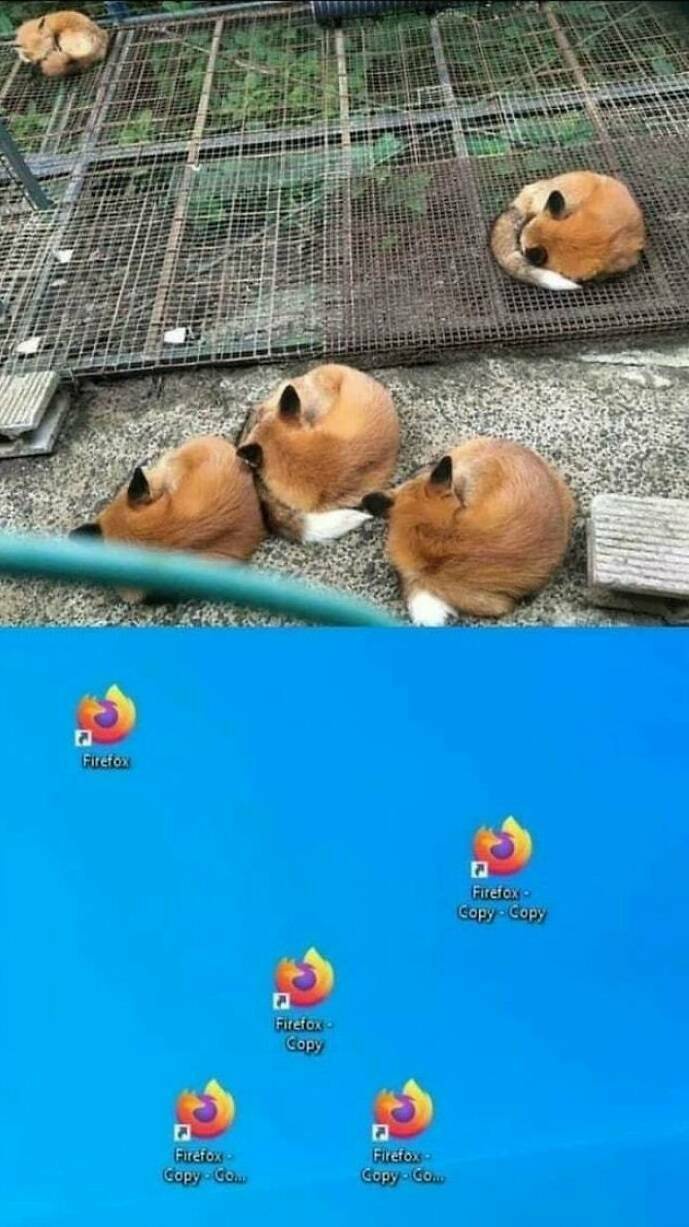 1753628844175.jpeg