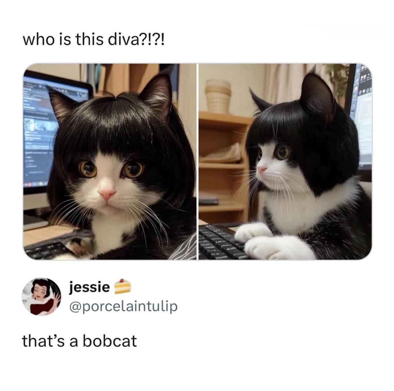 1753643555493.jpeg