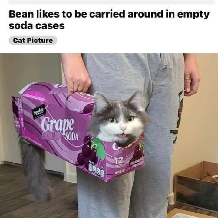 1753676485482.png