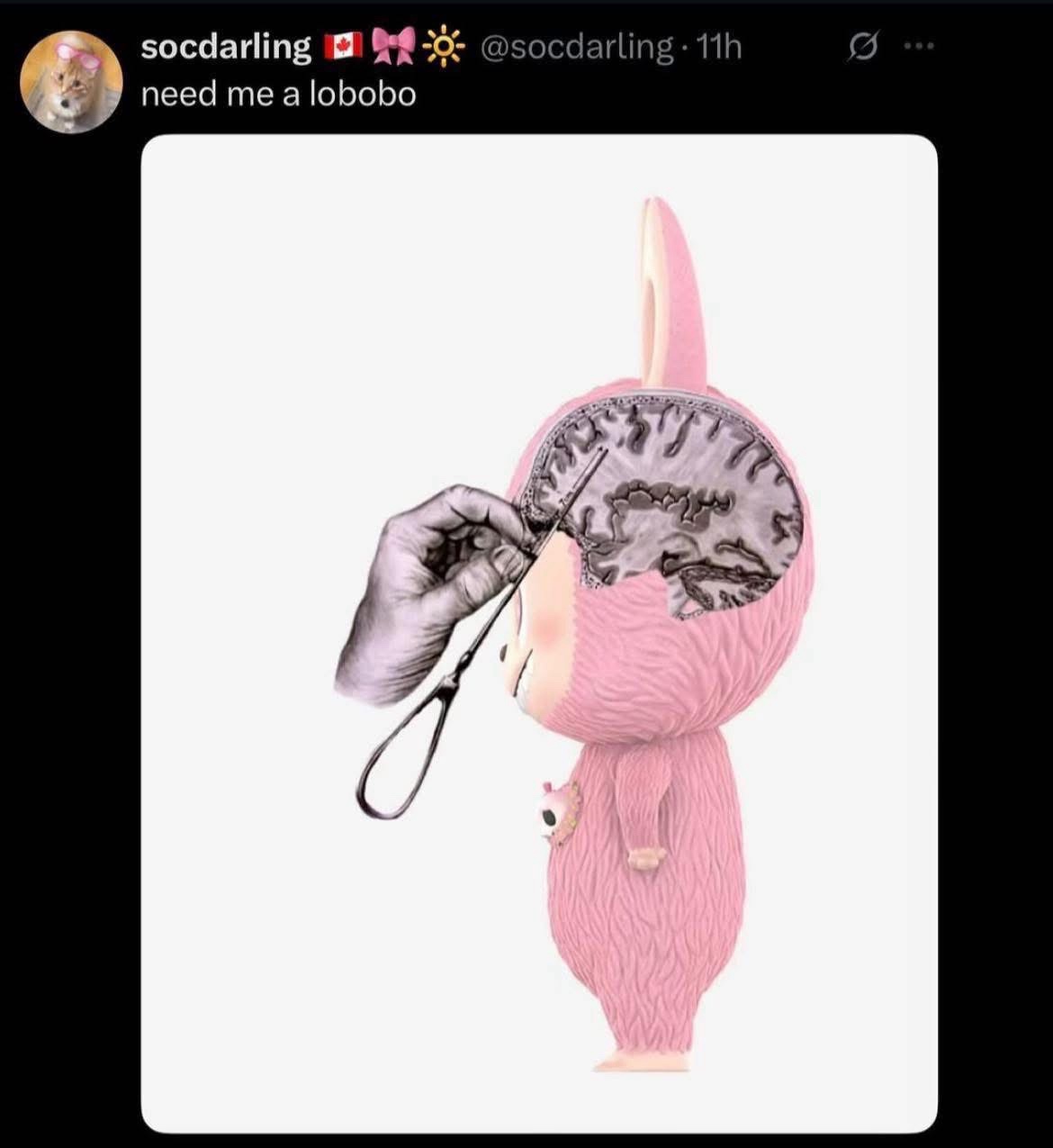 1754056828472.jpeg