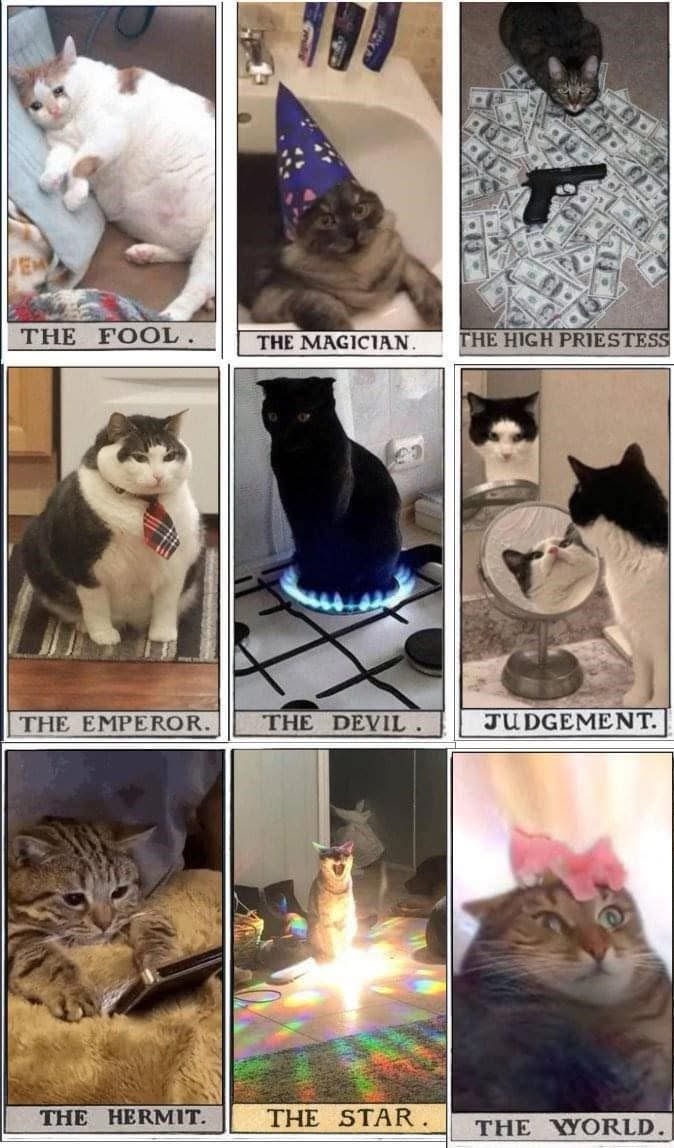 1754236571264.jpeg