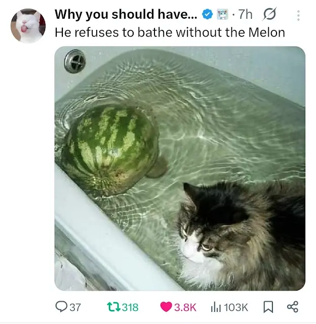 1754255313703.png