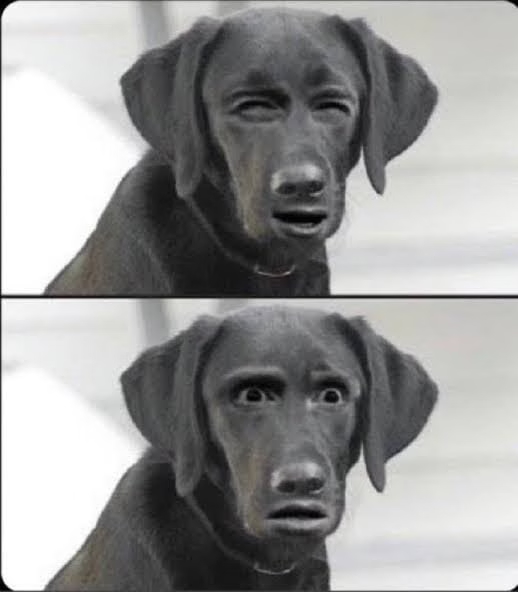 1754268819459.jpeg