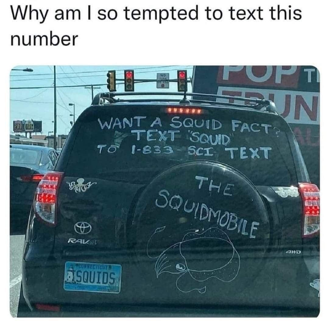 1754404236198.jpeg