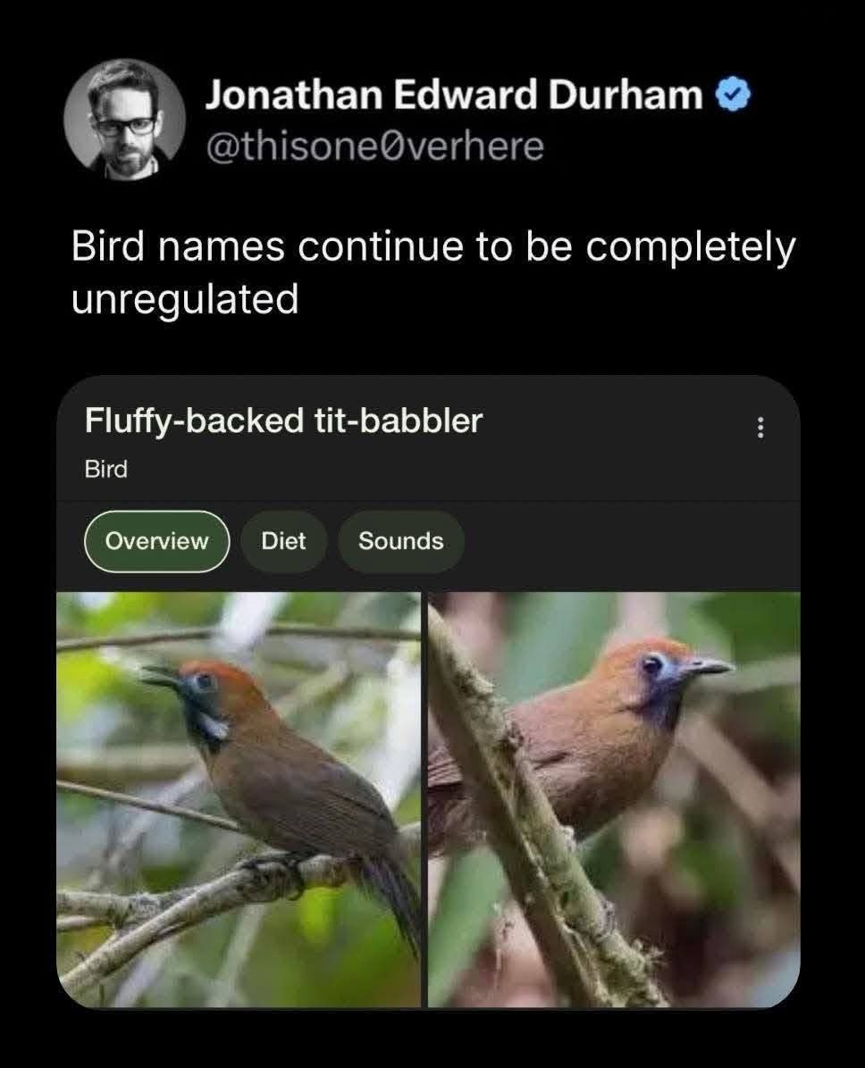 1754710981710.png