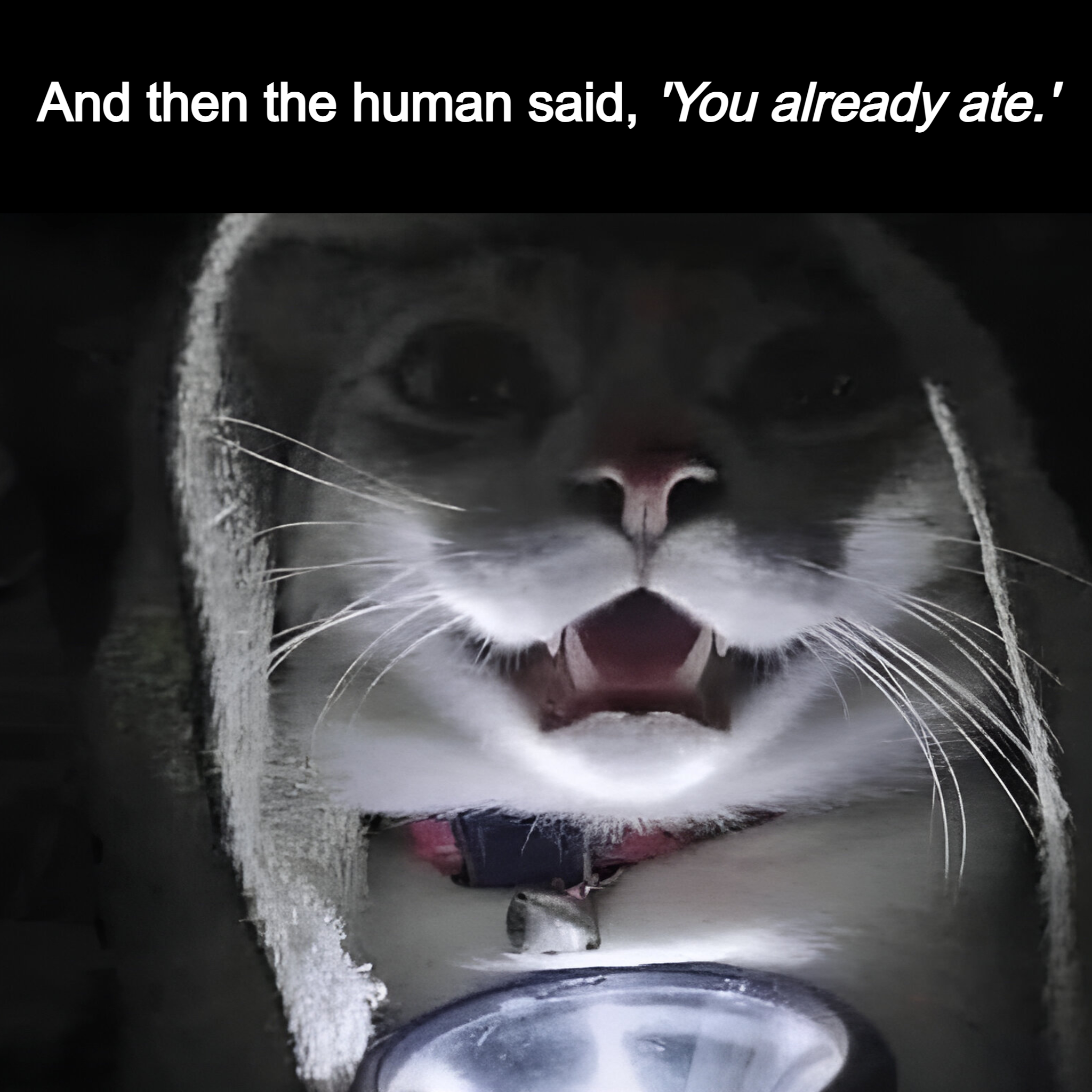 1754802521972.png
