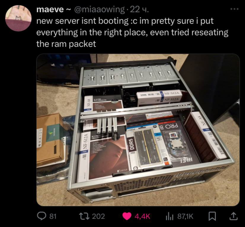 1754853016601.png
