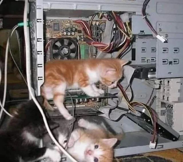 1754946095995.png