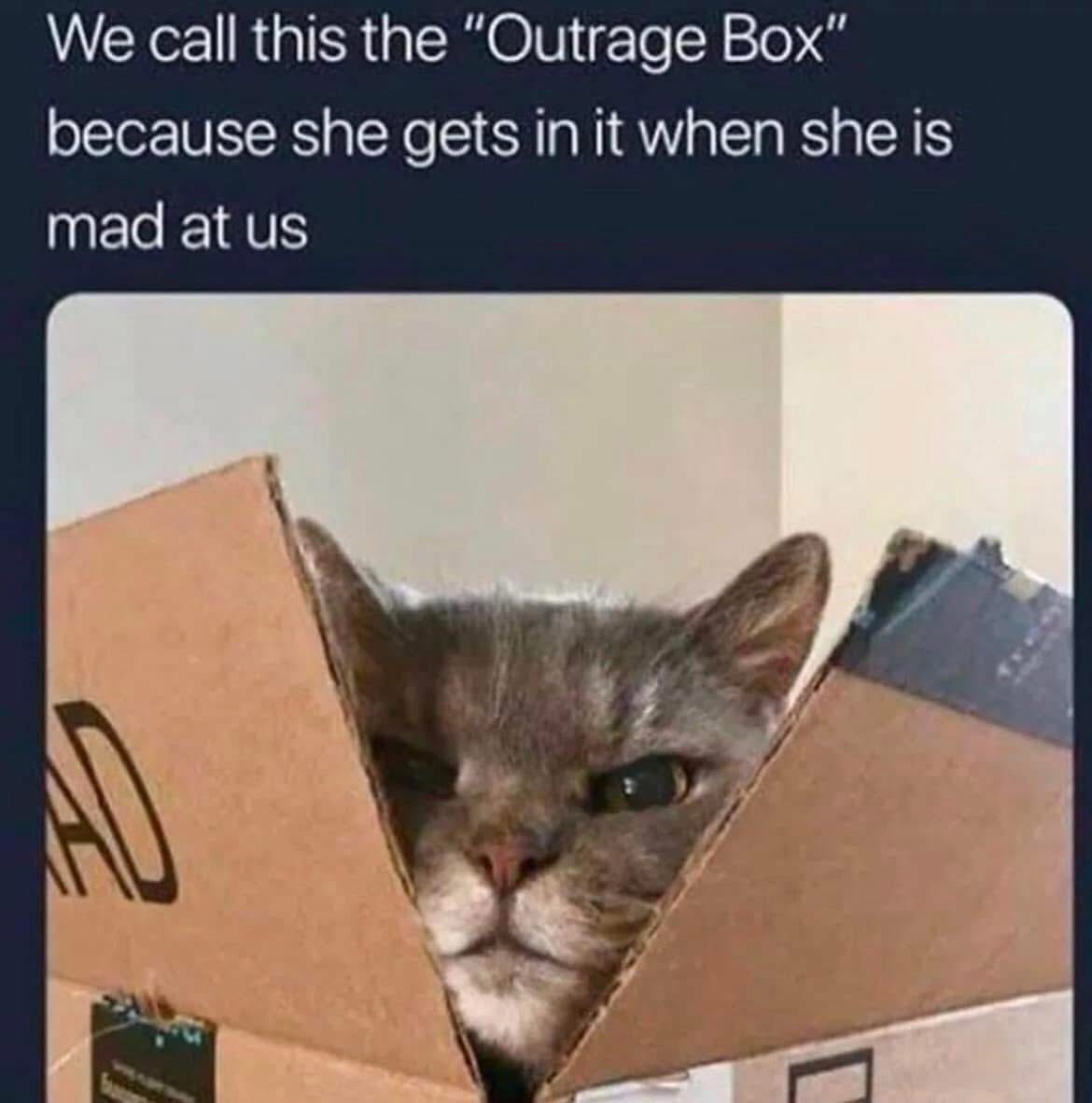 1754985396032.jpeg
