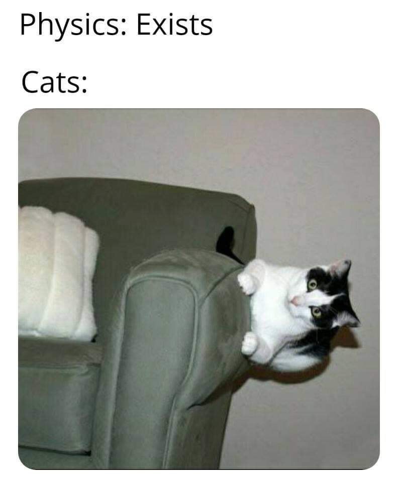 1755033986394.jpeg
