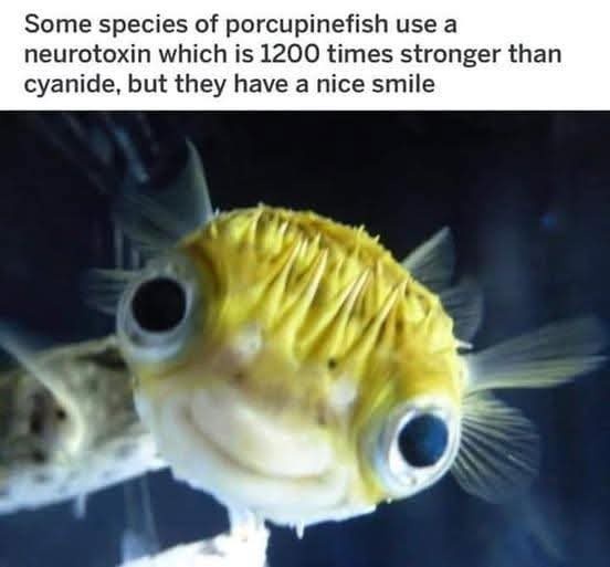 1755113928704.jpeg