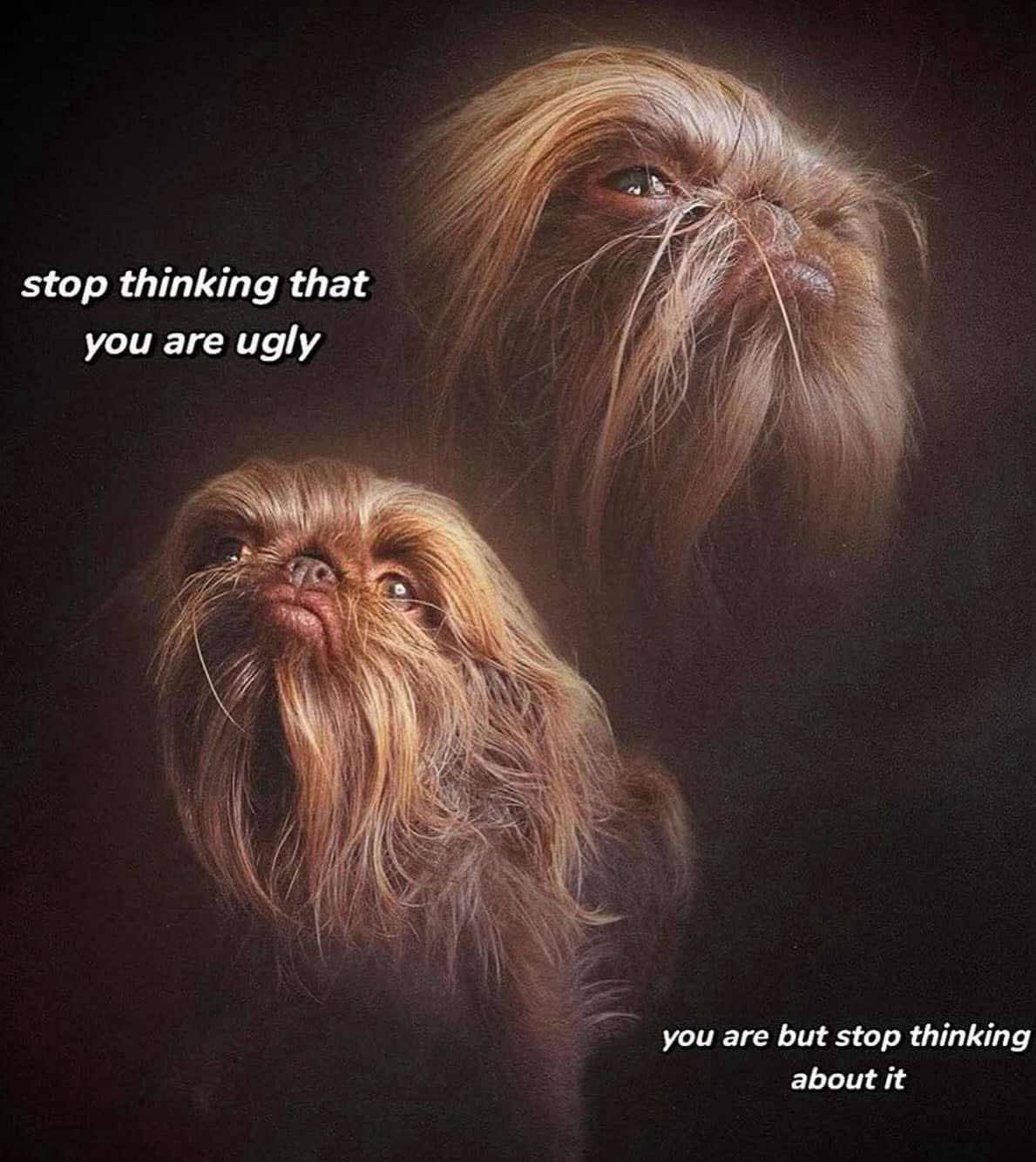 1755289768691.jpeg
