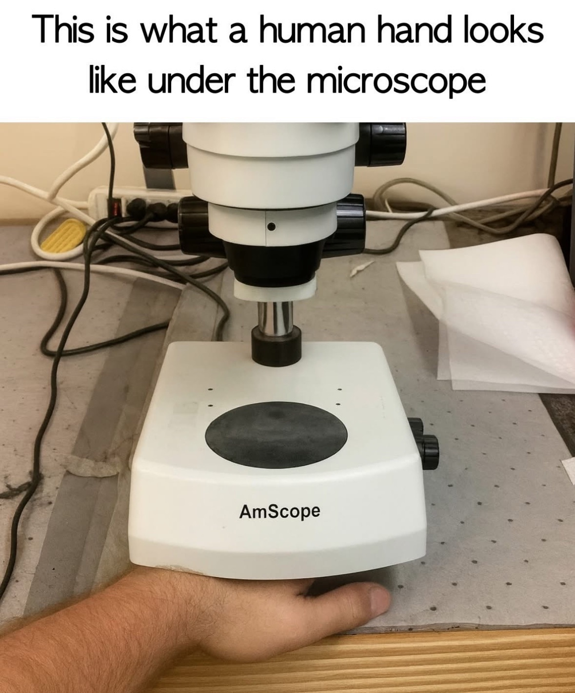 1755834170340.png