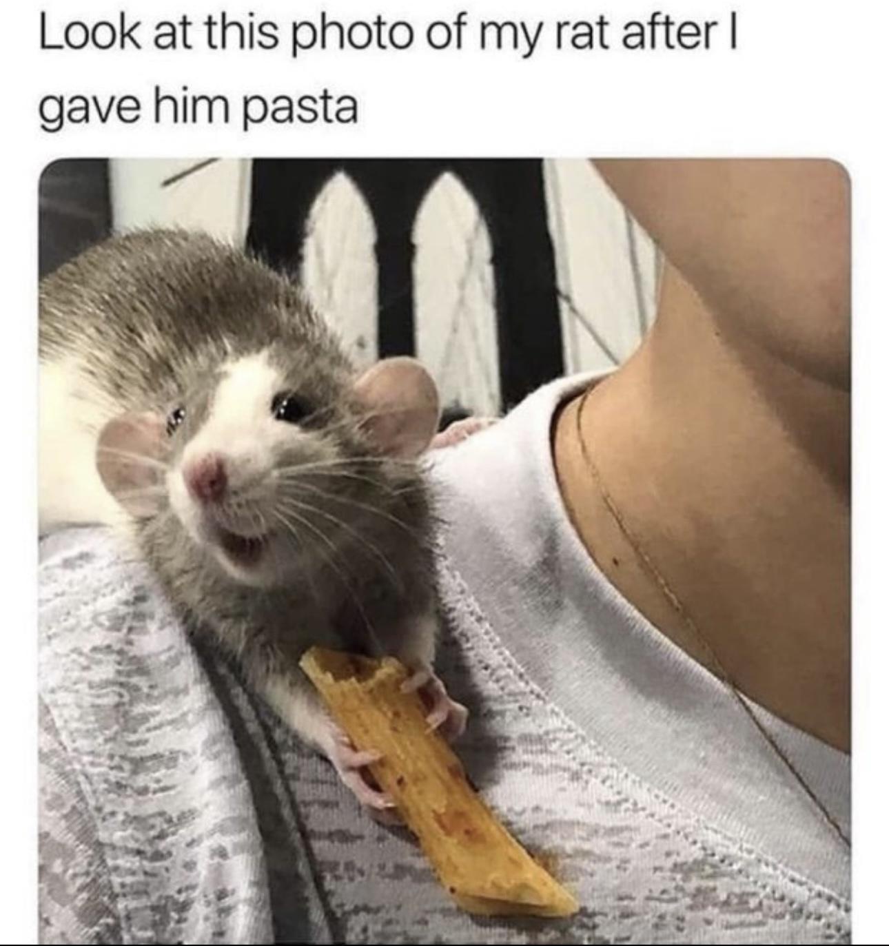 1755875844640.jpeg