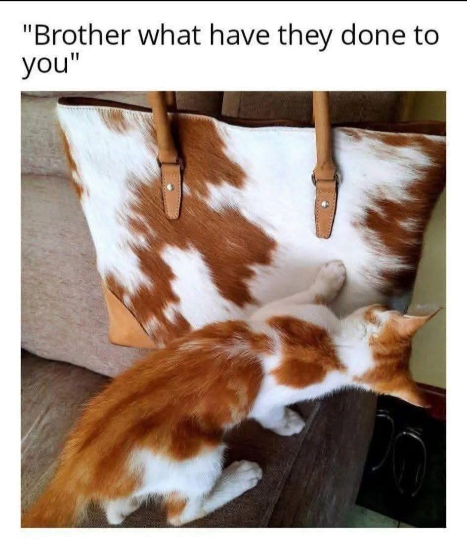 1755956270985.jpeg