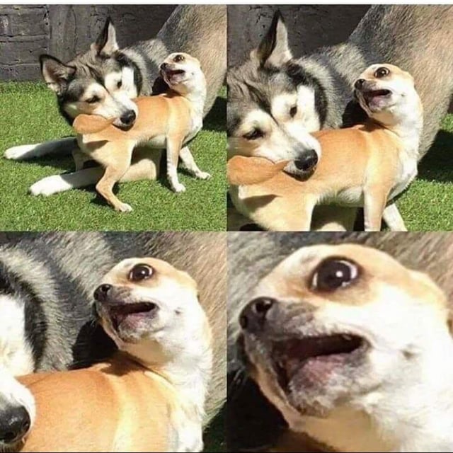 1756230806596.jpeg