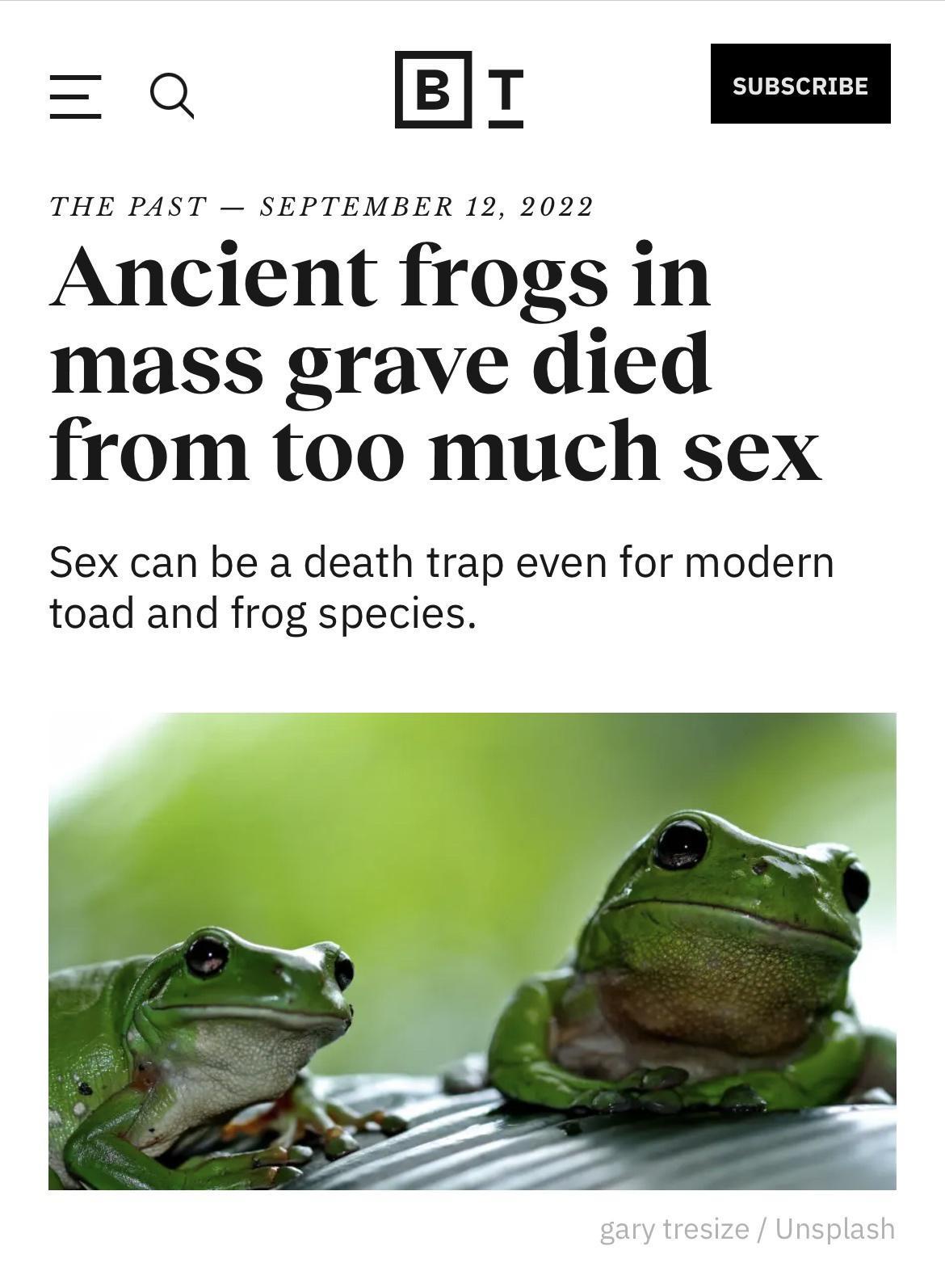 1756280507294.jpeg