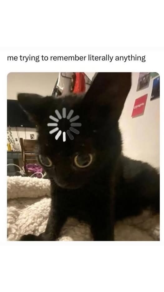 1756534235900.jpeg