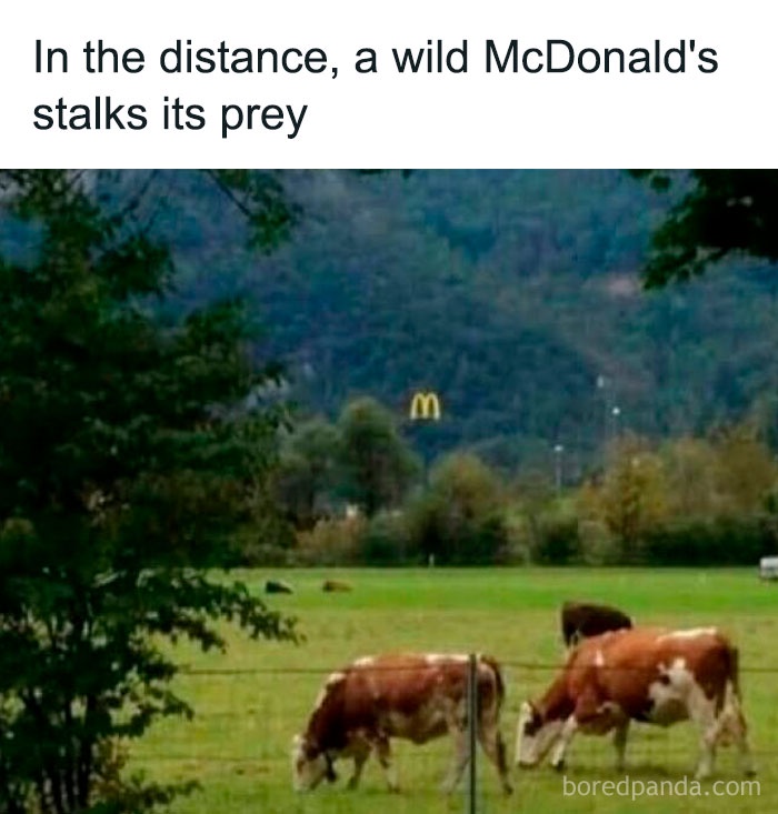 1756611553698.jpeg