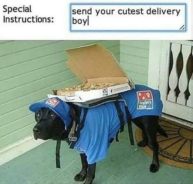 1756651444656.jpeg