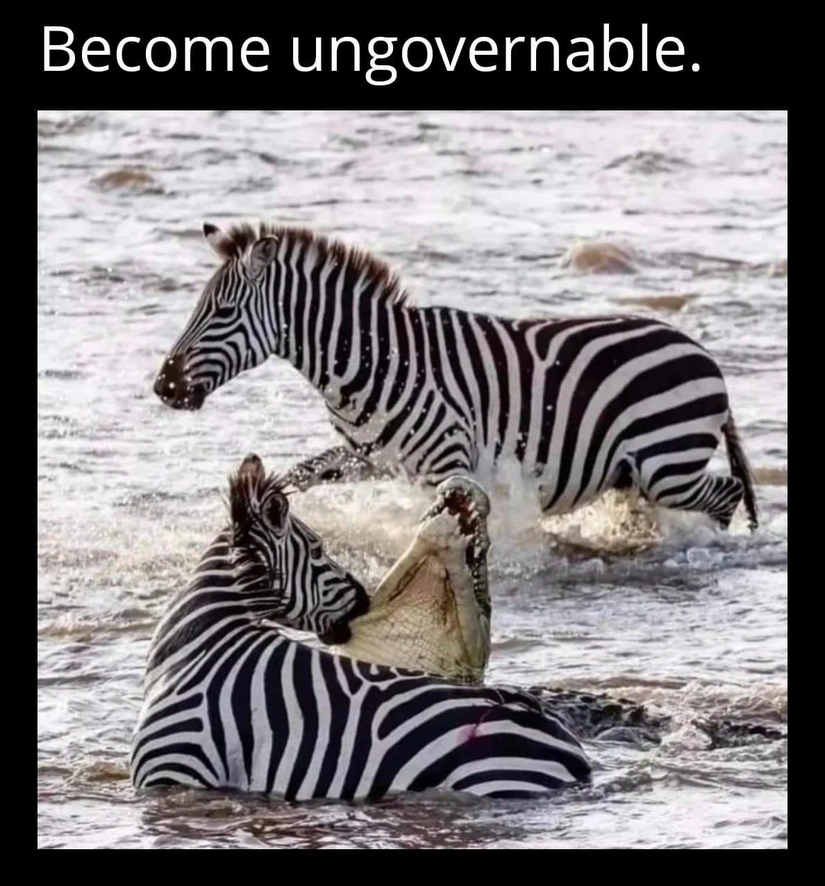 1756678426201.png