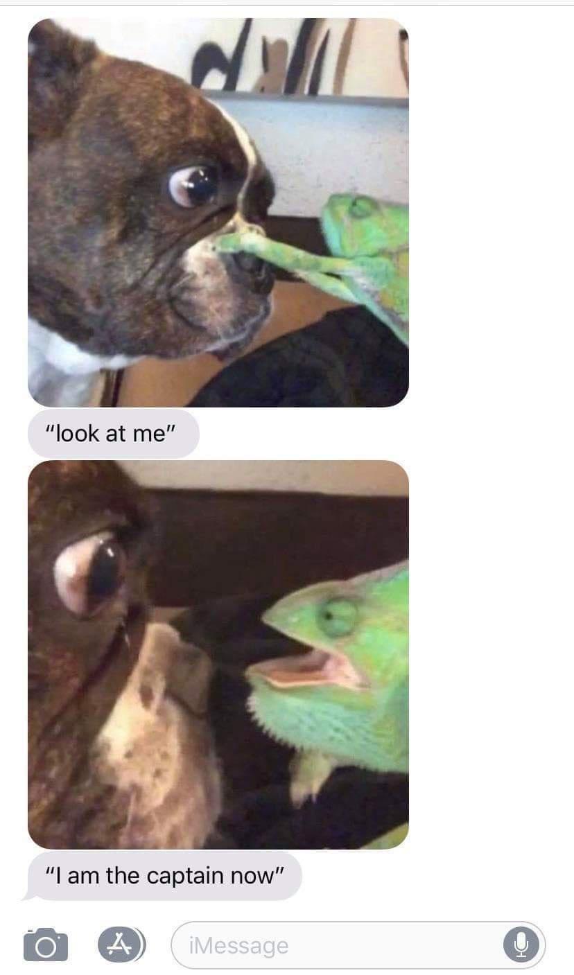 1756929305785.jpeg