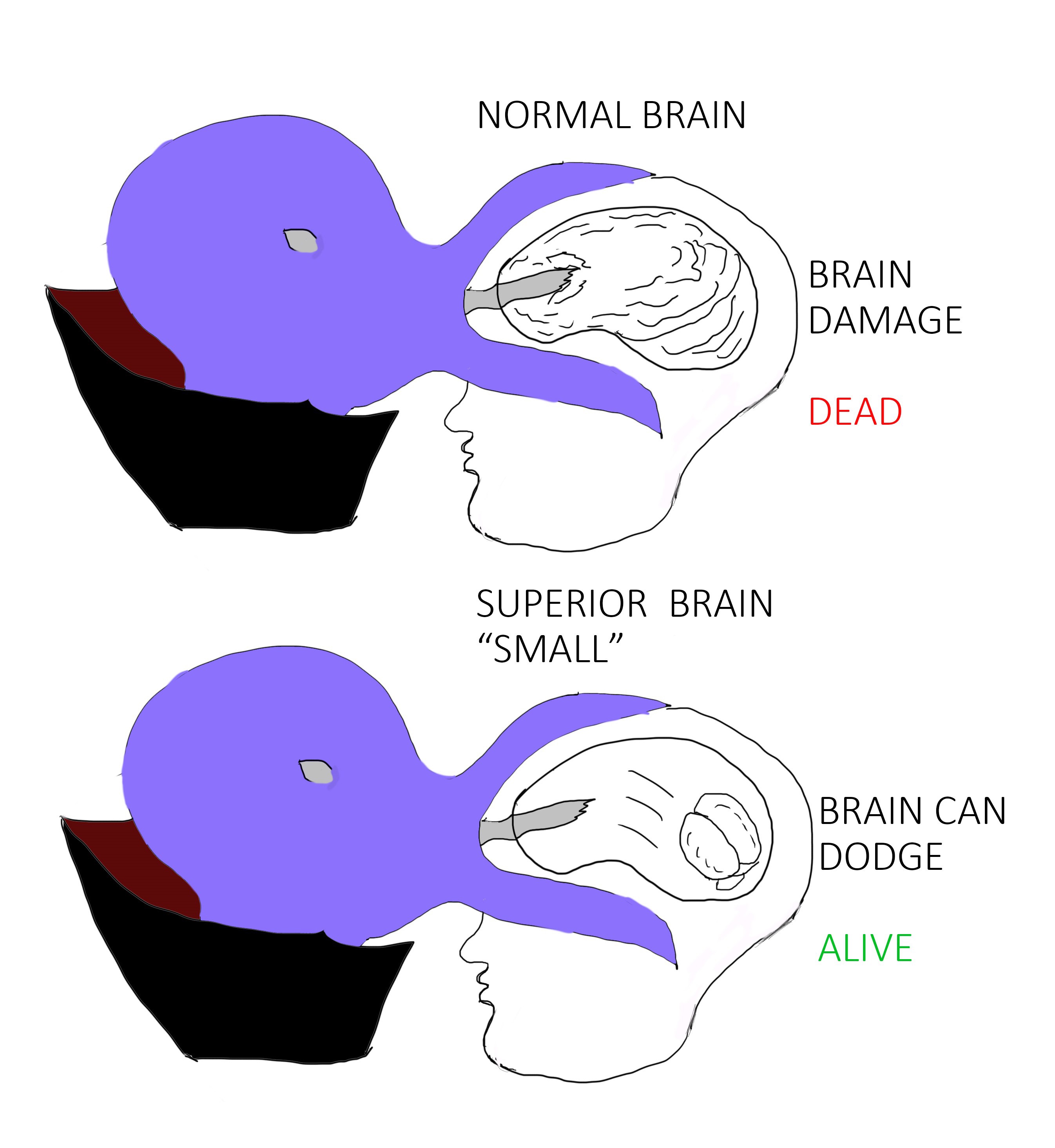 1756990865246.jpeg