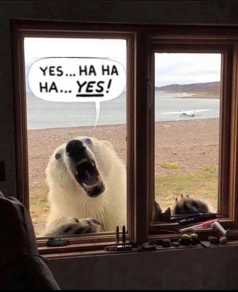 1757068177873.jpeg