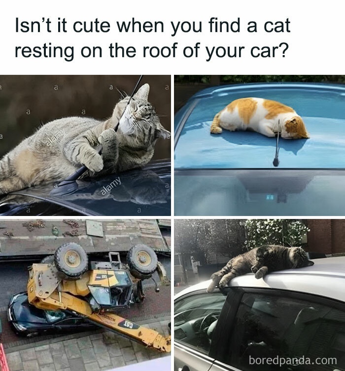 1757134733299.jpeg
