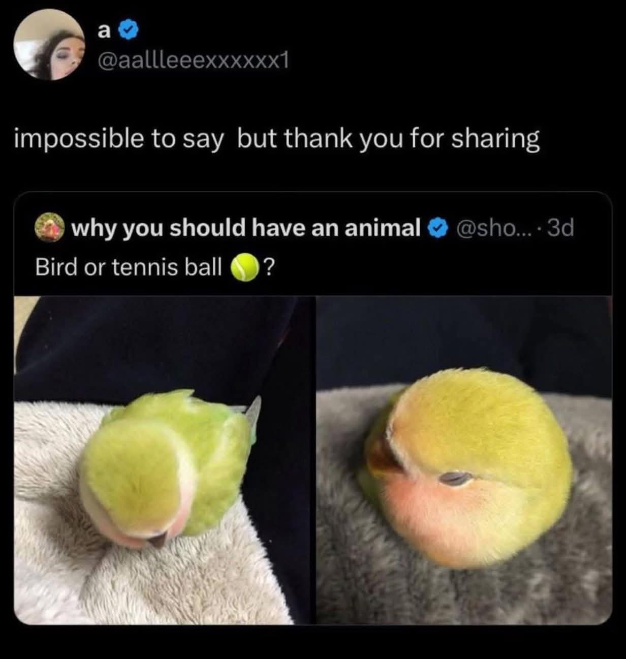 1757337097555.jpeg