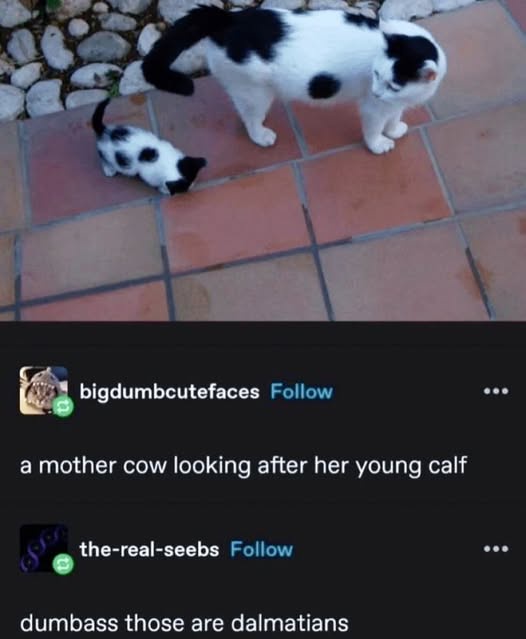 1757384201487.jpeg
