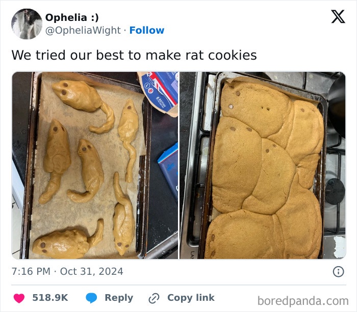1757448971231.jpeg