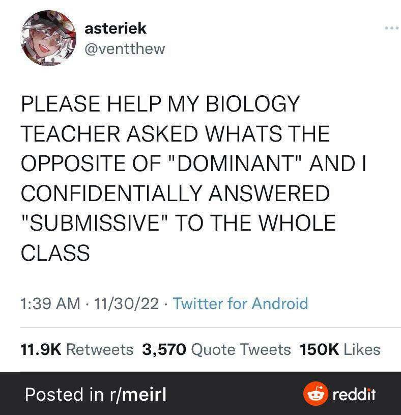 1757501782768.jpeg