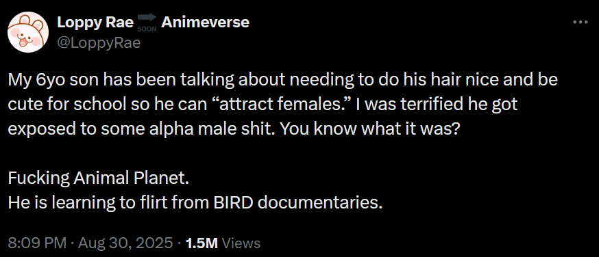 1757520889127.png